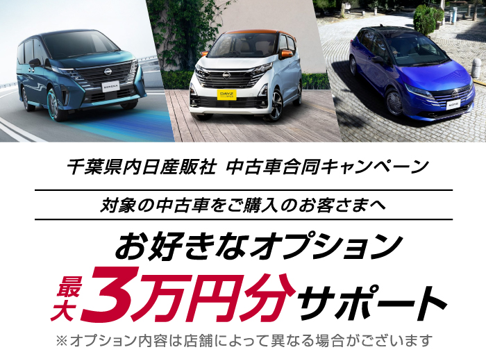 ご成約でお好きなオプション最大3万円分サポート