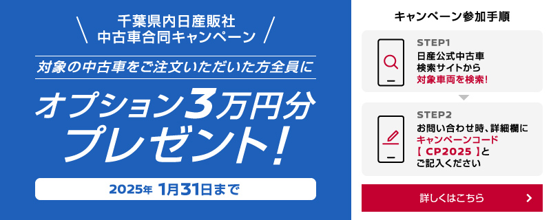 千葉　オプション3万円分プレゼント