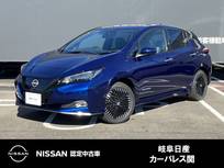 日産 リーフ e+ G 雹害車　メーカーNCナビ　プロパイロット