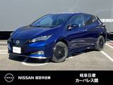 日産 リーフ e+ G 雹害車　メーカーNCナビ　プロパイロット