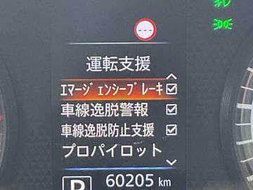 複数画像54