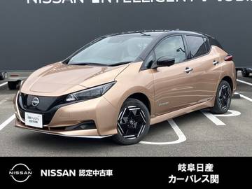 e+ X EV専用メーカーナビ　プロパイロット