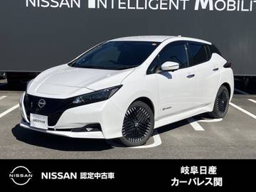 X Vセレクション メーカーEV専用ナビ　プロパイロット