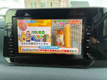 複数画像13