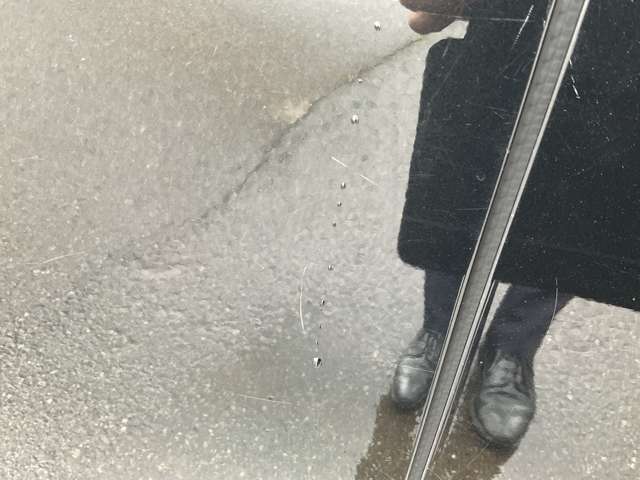 複数画像41