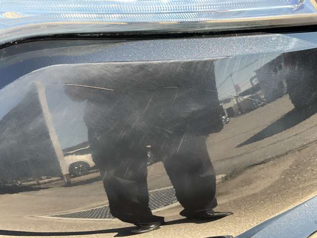複数画像38