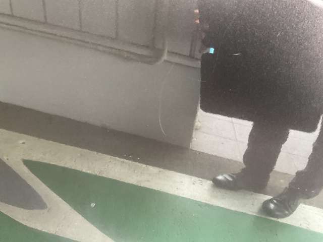 複数画像30