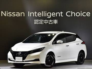 リーフ X Vセレクション 当社社有車