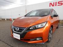 日産 リーフ e+ G 62kWh 12セグ