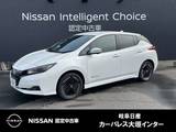 日産 リーフ X Vセレクション NISSANコネクトナビ+ETC2.0