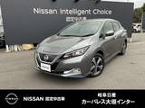 日産 リーフ e+ X プロパイロット　メーカーナビ