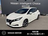 日産 リーフ X アラウンドビューモニター　LEDヘッド　ETC