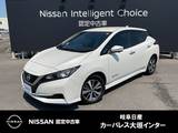 日産 リーフ e+ X リチウムイオンバッテリー62kwh