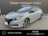 日産 リーフ X Vセレクション メーカーナビ　アラウンドビューモニター