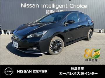 e+ X リチウムイオンバッテリー60kwh