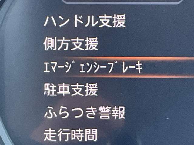 複数画像48
