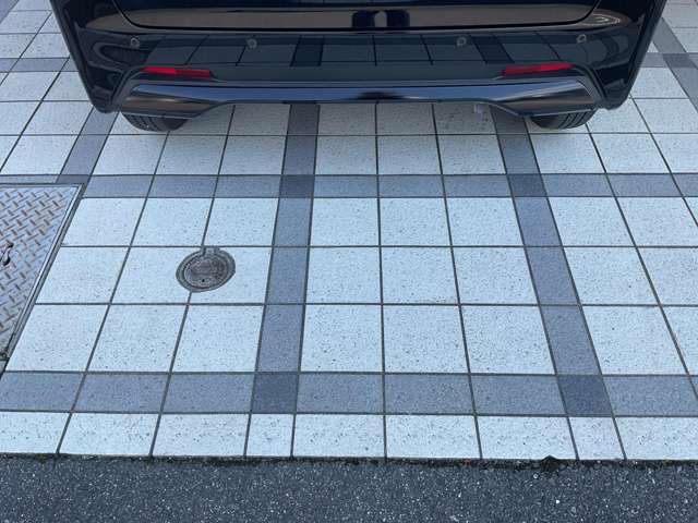 複数画像45