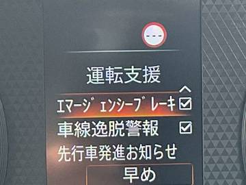 複数画像46