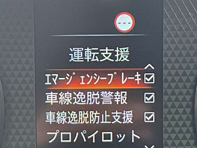 複数画像48