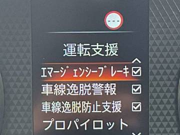 複数画像48
