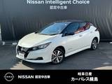 日産 リーフ e+ X 全周囲カメラ　ハイビームアシスト