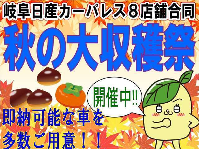 複数画像4