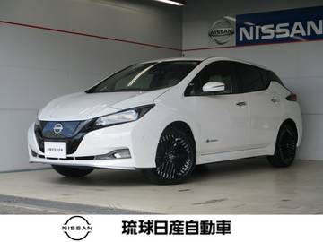 リーフ e+ G プロパイロット エマージェンシーブレーキ