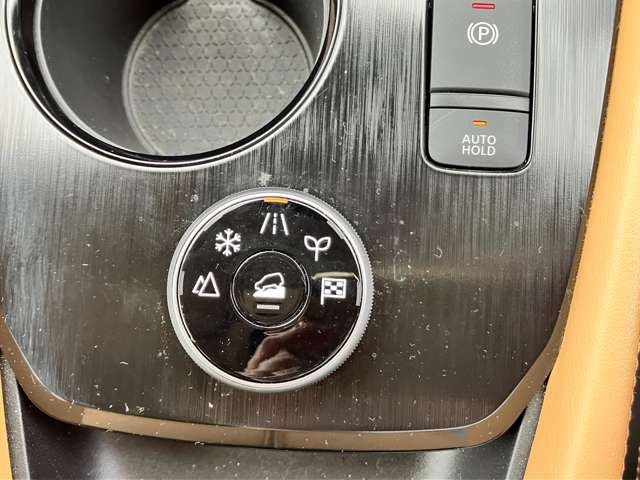 複数画像50