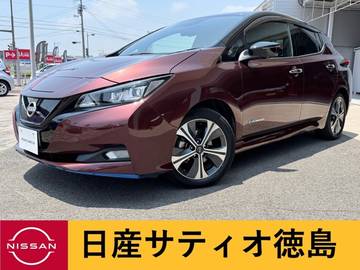 e+ G 寒冷地・BOSE・ナビ・プロパイ・アラウンド