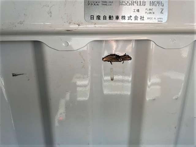 複数画像22