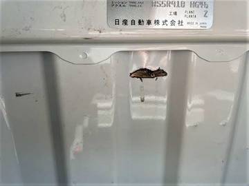 複数画像22