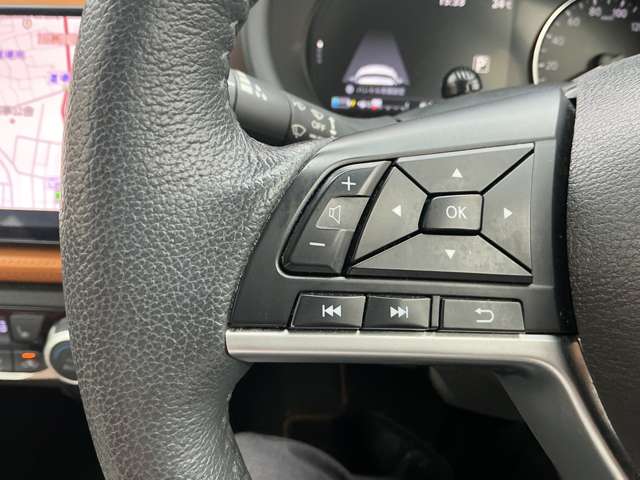 複数画像11