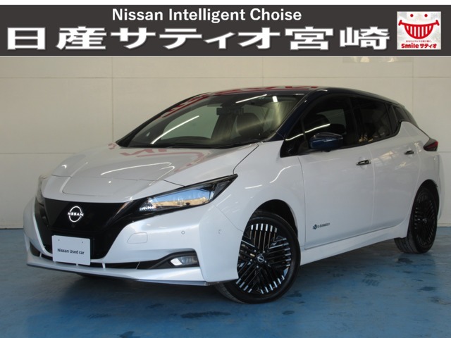 リーフ(九州)の中古車｜日産公式中古車検索サイト