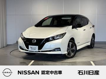 e+ G 本革シート　プロパイロット　メーカーナビ