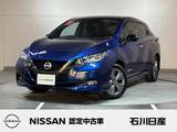 日産 リーフ e+ アーバンクロム メーカーナビ　プロパイロット