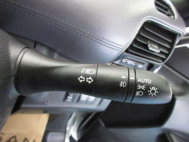 複数画像11
