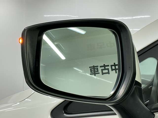 複数画像52