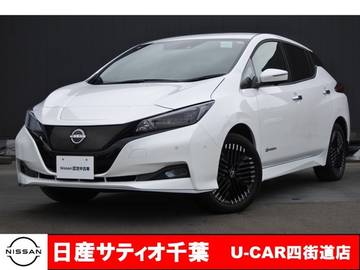 e+ G ワンオーナー/プロパイロットメーカーオプ