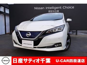 G プロパイロット/メーカーオプションナビ・