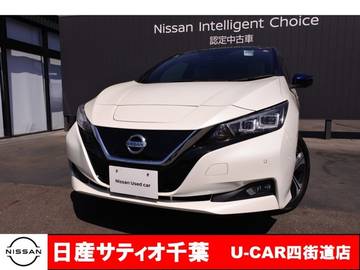 G ワンオーナー/プロパイロット/メーカーオプ