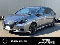 日産 リーフ X Vセレクション 雹害車