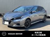 日産 リーフ X Vセレクション 雹害車