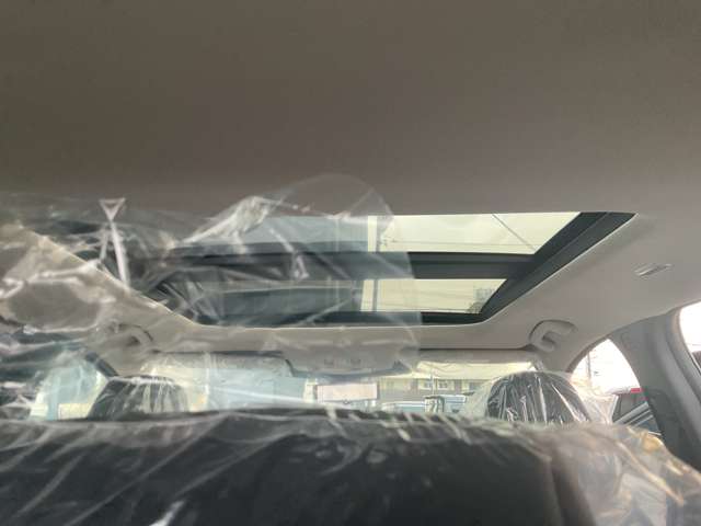 複数画像30