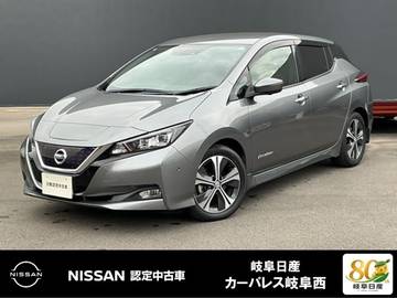 G プロパイロット　ドライブレコ-ダ-