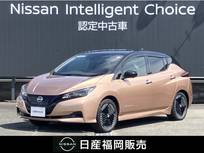 日産 リーフ X Vセレクション メーカーナビ　地デジ　アラモニ