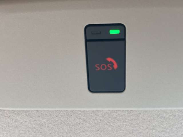 複数画像30