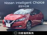 日産 リーフ e+ G ワンオーナー車　プロパイロット　12セグ