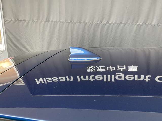 複数画像64