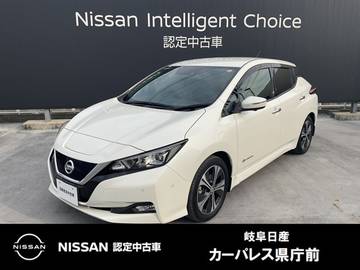 G メーカーナビ/プロパイロット/スマートルー