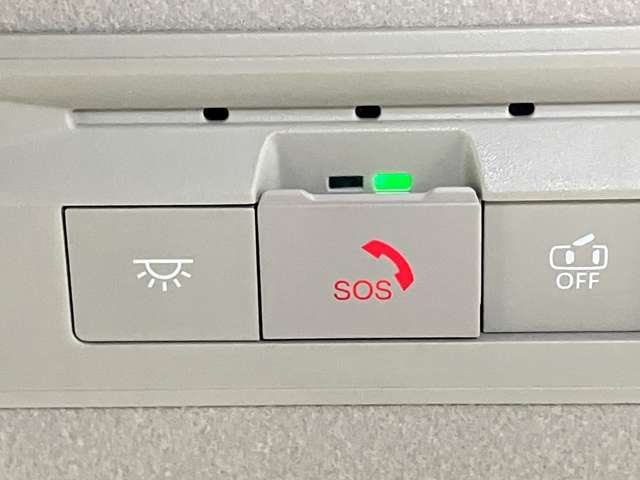 複数画像30